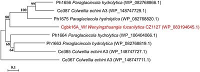 Cloning, Heterologous Expression, and Characterization of a βκ-Carrageenase From Marine Bacterium Wenyingzhuangia funcanilytica: A Specific Enzyme for the Hybrid Carrageenan–Furcellaran